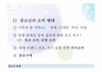 [청소년학] 청소년과 소비문화-10