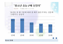 [청소년학] 청소년과 소비문화-13