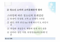 [청소년학] 청소년과 소비문화-17