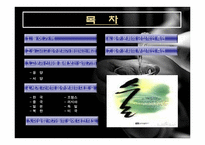 [현대문화] 세계의 음주문화-3