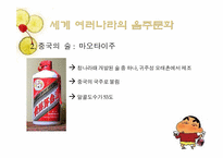 [현대문화] 세계의 음주문화-11