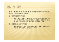 [음식문화] 우리나라 떡의 문화-16