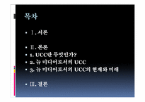 [영상문화의 이해] 뉴 미디어로서의 UCC-2