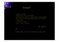 500만원으로 결혼식 하기-4