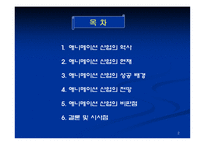 [일본문화] 일본 애니메이션 산업-2