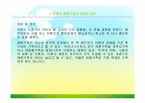 [가족복지] 재혼가족을 위한 정책-5