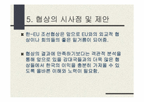 [정치외교학] 한국-EU 조선협상-18