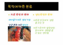 인간복제에 대한 찬반토론(반대입장)-3