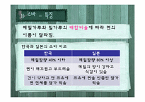 [일본대중문화] 일본의 면 요리-8
