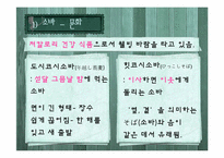 [일본대중문화] 일본의 면 요리-10