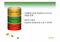 [북한 정치와 사회] 북한에서 지배 수단으로서의 음악-9