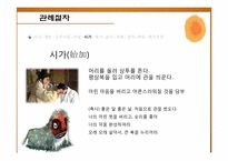 [한국 전통문화] 관례절차와 현대적 의미-6