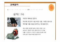 [한국 전통문화] 관례절차와 현대적 의미-8