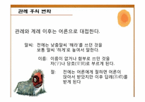 [한국 전통문화] 관례절차와 현대적 의미-12