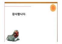 [한국 전통문화] 관례절차와 현대적 의미-16