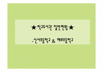 [문헌정보학] 초등학교 도서관 일반현황(신서&매호초등학교 비교)-1