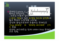 [기능성식품영양] 루테인의 기능성 기전과 관련 제품 출시 현황-6