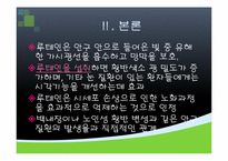 [기능성식품영양] 루테인의 기능성 기전과 관련 제품 출시 현황-10