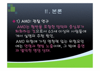 [기능성식품영양] 루테인의 기능성 기전과 관련 제품 출시 현황-11
