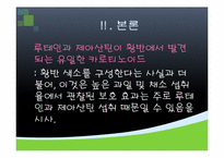 [기능성식품영양] 루테인의 기능성 기전과 관련 제품 출시 현황-13