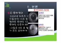[기능성식품영양] 루테인의 기능성 기전과 관련 제품 출시 현황-16