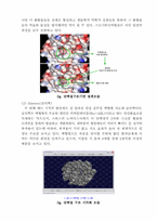 [응용분자생물학] 프로테오믹스 Proteomics에 대한 탐구 및 응용 제품 설계-8