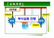 [재료분석실험] 저합금강의 P원소 함량에 따른 전기 화학적 분석-8
