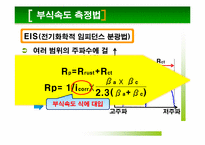 [재료분석실험] 저합금강의 P원소 함량에 따른 전기 화학적 분석-10