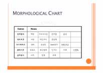 [다학제융합종합설계] 마트 종합 정보 서비스 방향과 기대효과-13