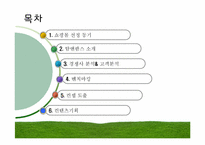 [사업계획서] 유기농 식품 쇼핑몰 사업계획서-2
