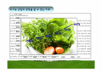[사업계획서] 유기농 식품 쇼핑몰 사업계획서-3