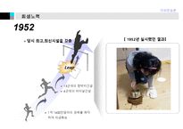 [국제운송론] 뉴욕항의 결사투쟁-15