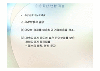 [금융기관경영론] 금융기관-16