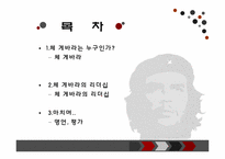 [조직과리더십] 체 게바라 리더십-2