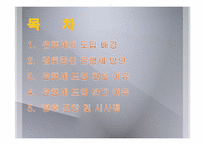 [세계경제론] 은행세(BANK LEVY)-2
