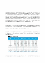 [국제경영] 아이코닉스 경영 사례-2