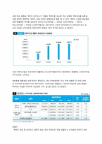 [국제경영] 아이코닉스 경영 사례-5