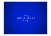 [경영조직론] 경찰조직-3