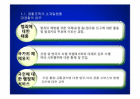 [경영조직론] 경찰조직-6