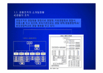 [경영조직론] 경찰조직-7
