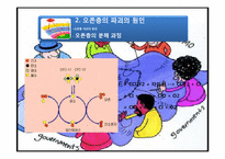 오존층파괴에 관한 협약-10