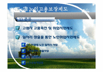 [사회복지행정론] 빈곤노인의 고용촉진과 소득보장 재사회화를 위한 프로그램-20