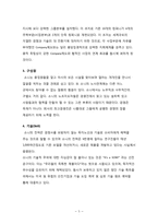 [소비자행동] sony와 네이버 소니 대표 카페 소비자 구매의사결정과정-5