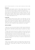 [국제경영] MCM의 중국시장 진출 성공전략-11