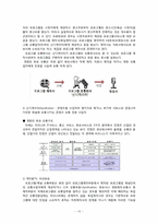 [유통관리] 영화 산업의 유통-16