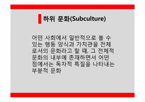 [소비자행동] 하위 문화(Subculture)-2