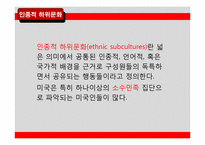[소비자행동] 하위 문화(Subculture)-4