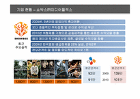 쇼박스㈜미디어플렉스 투자안정화를 위한 콘텐츠 검증 방안-9