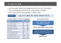쇼박스㈜미디어플렉스 투자안정화를 위한 콘텐츠 검증 방안-12