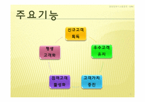 [경영정보시스템] CRM, 고객관계 경영-5